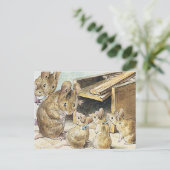 Carte Postale Beatrix Potter Children's Story Books (Debout devant)