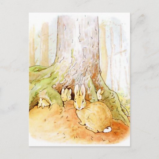 Carte Postale Beatrix Potter du conte de Pierre le lapin (Devant)