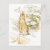 Carte Postale Beatrix Potter du conte de Pierre le lapin (Devant)