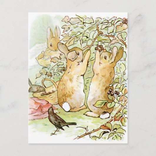 Carte Postale Beatrix Potter du conte de Pierre le lapin (Devant)