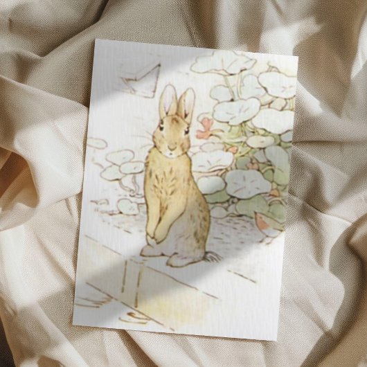 Carte Postale Beatrix Potter du conte de Pierre le lapin