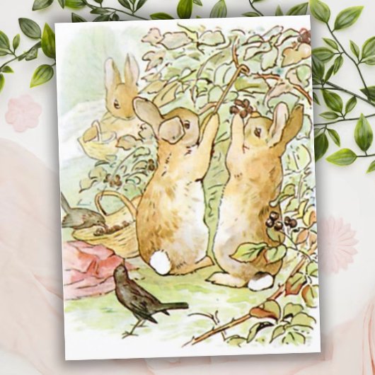 Carte Postale Beatrix Potter du conte de Pierre le lapin
