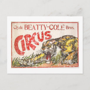 Carte Postale Beatty Cole Circus - 1903 - en détresse