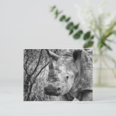 Carte Postale Beau (Debout devant)