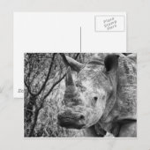 Carte Postale Beau (Devant / Derrière)