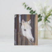 Carte Postale Beau (Debout devant)