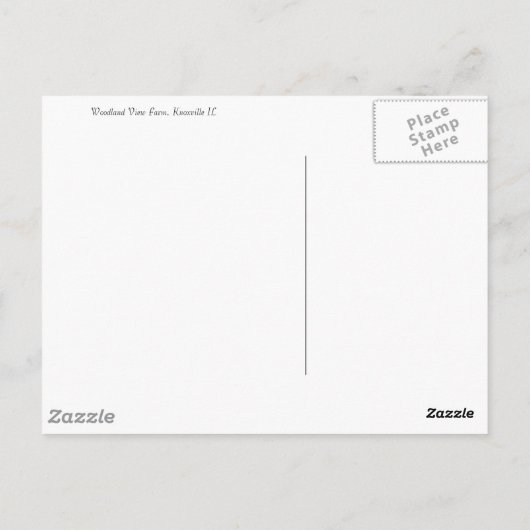 Carte Postale Beau (Dos)