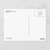 Carte Postale Beau Aigle Bald... (Dos)