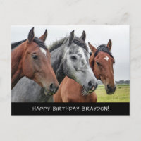 Beau anniversaire de chevaux