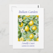 Carte Postale Beau Aquarelle Lemon Tree (Devant / Derrière)