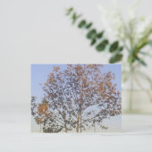 Carte Postale Beau arbre d'automne (Debout devant)