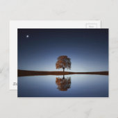 Carte Postale Beau arbre solitaire reflété dans le lac à Dusk (Devant / Derrière)