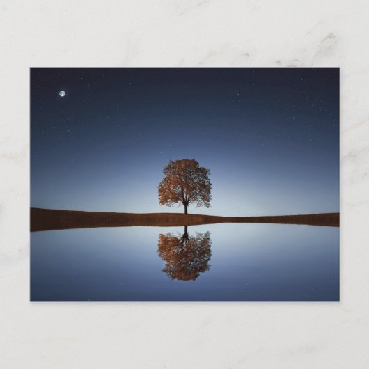 Carte Postale Beau arbre solitaire reflété dans le lac à Dusk (Devant)