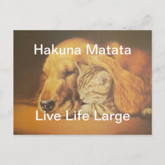 Carte Postale Beau art Extraordinaire de chats et de chats de ch