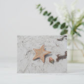 Carte postale Beau Bahamas Starfish Shell (Debout devant)