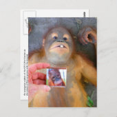 Carte Postale Beau bébé Zazzle Fan (Devant / Derrière)