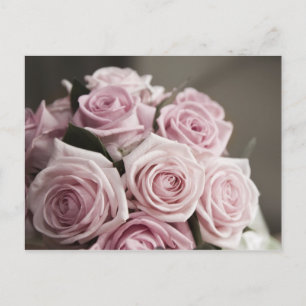 Carte Postale Beau bouquet rose
