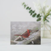 Carte Postale Beau cardinal à dire (Debout devant)