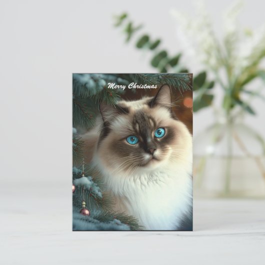 Carte Postale Beau chat de Noël (Debout devant)