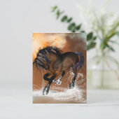 Carte Postale Beau cheval (Debout devant)