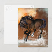 Carte Postale Beau cheval (Devant / Derrière)