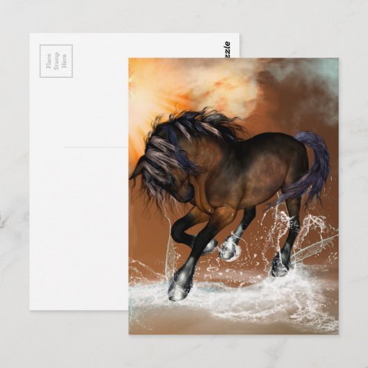 Carte Postale Beau cheval (Devant / Derrière)