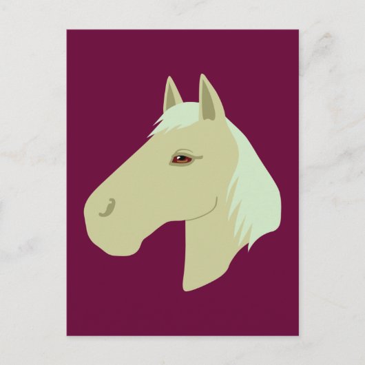 Carte Postale Beau Cheval (Devant)