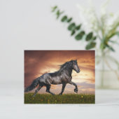 Carte Postale Beau Cheval (Debout devant)