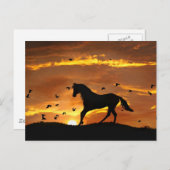 Carte Postale Beau Cheval au coucher du soleil (Devant / Derrière)