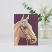 Carte Postale beau cheval blanc (Debout devant)