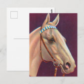 Carte Postale beau cheval blanc (Devant / Derrière)