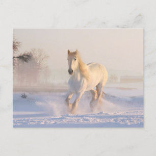 Carte Postale Beau cheval blanc courant dans la neige