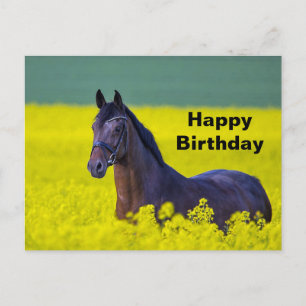 Carte Postale Beau Cheval Fleurs Jaunes Photo Anniversaire