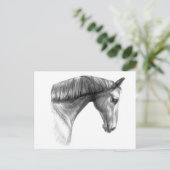 Carte Postale Beau cheval foncé vintage (Debout devant)