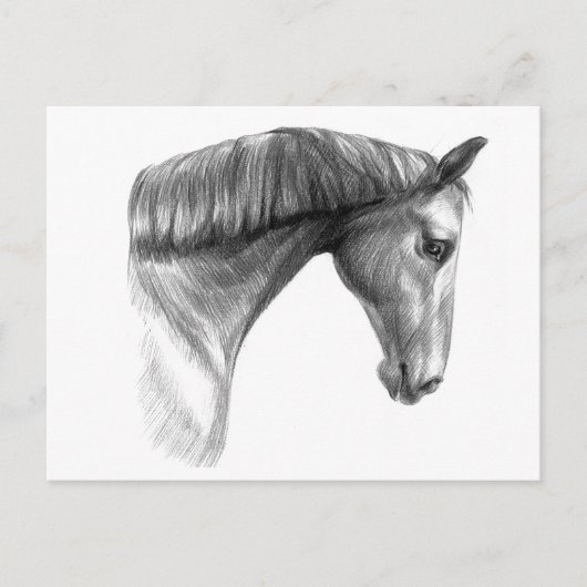 Carte Postale Beau cheval foncé vintage (Devant)