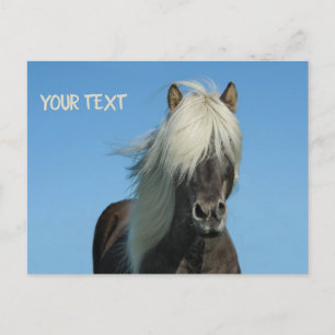 Carte Postale Beau cheval sous le ciel bleu