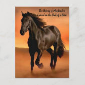 Carte Postale Beau Cheval Sur Orange Sunrise (Devant)