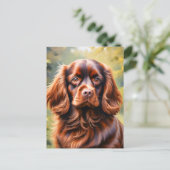 Carte Postale Beau Chien Brown Espagnol (Debout devant)