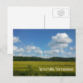 Carte Postale Beau Ciel sur Tiptonville (Devant / Derrière)