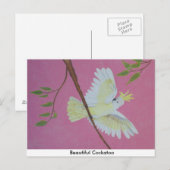 Carte Postale Beau Cockatoo (Devant / Derrière)