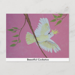 Carte Postale Beau Cockatoo