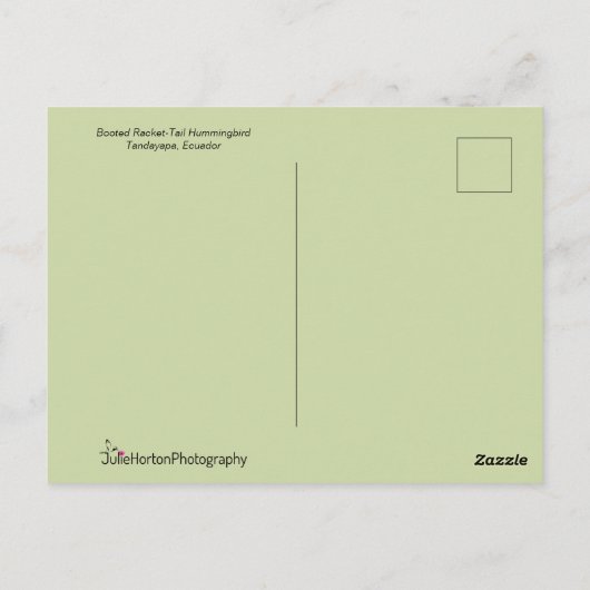 Carte Postale Beau colibri aux longues plumes de queue (Dos)