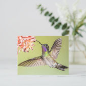 Carte Postale Beau colibri volant vers une fleur (Debout devant)