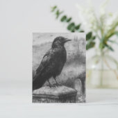 Carte Postale Beau Corbeau (Debout devant)