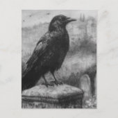 Carte Postale Beau Corbeau (Devant)