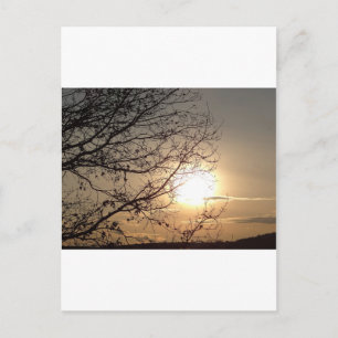 Carte Postale Beau coucher de soleil avec rampes