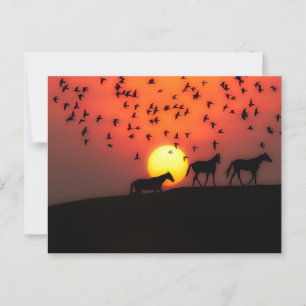 Carte Postale Beau coucher de soleil en silhouette