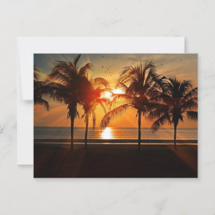 Carte Postale Beau coucher de soleil en silhouette