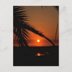 Carte Postale Beau coucher de soleil : Mission Bay, San Diego, C