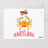Carte Postale Beau crabe dans le Maryland (Dos)